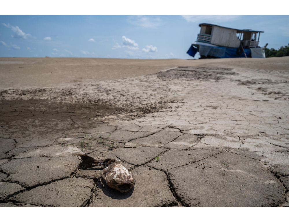 Brasile, la siccità minaccia la navigazione sul Rio delle Amazzoni