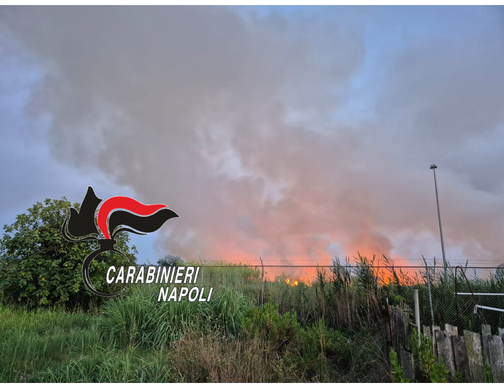 Brucia sterpaglie e distrugge 7 ettari di vegetazione, arrestato