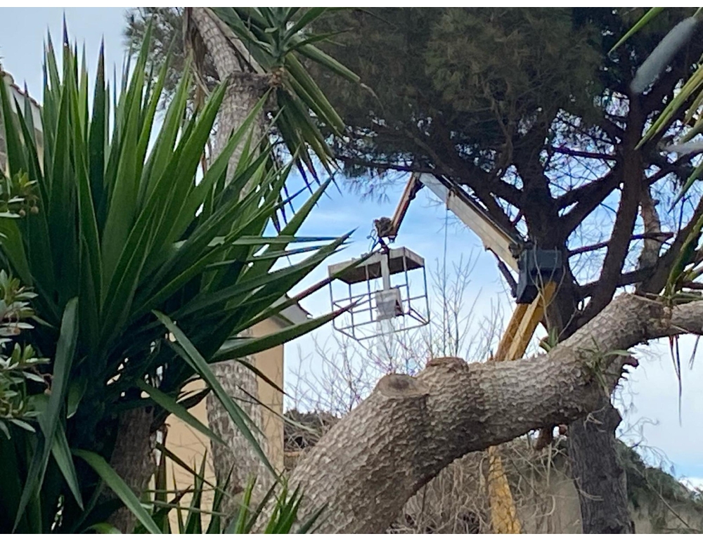 Cadono dal cestello elevatore, gravi due giardinieri nel Bergamasco