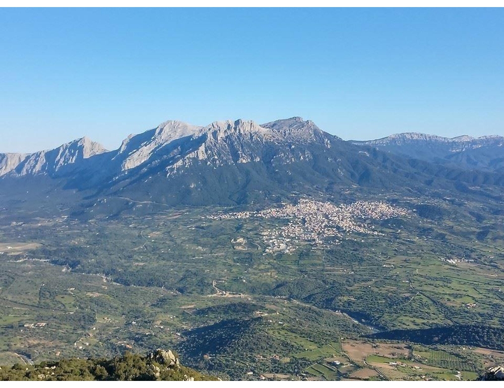 Caldo estremo in Sardegna, a Oliena sfiorati oggi i 46 gradi
