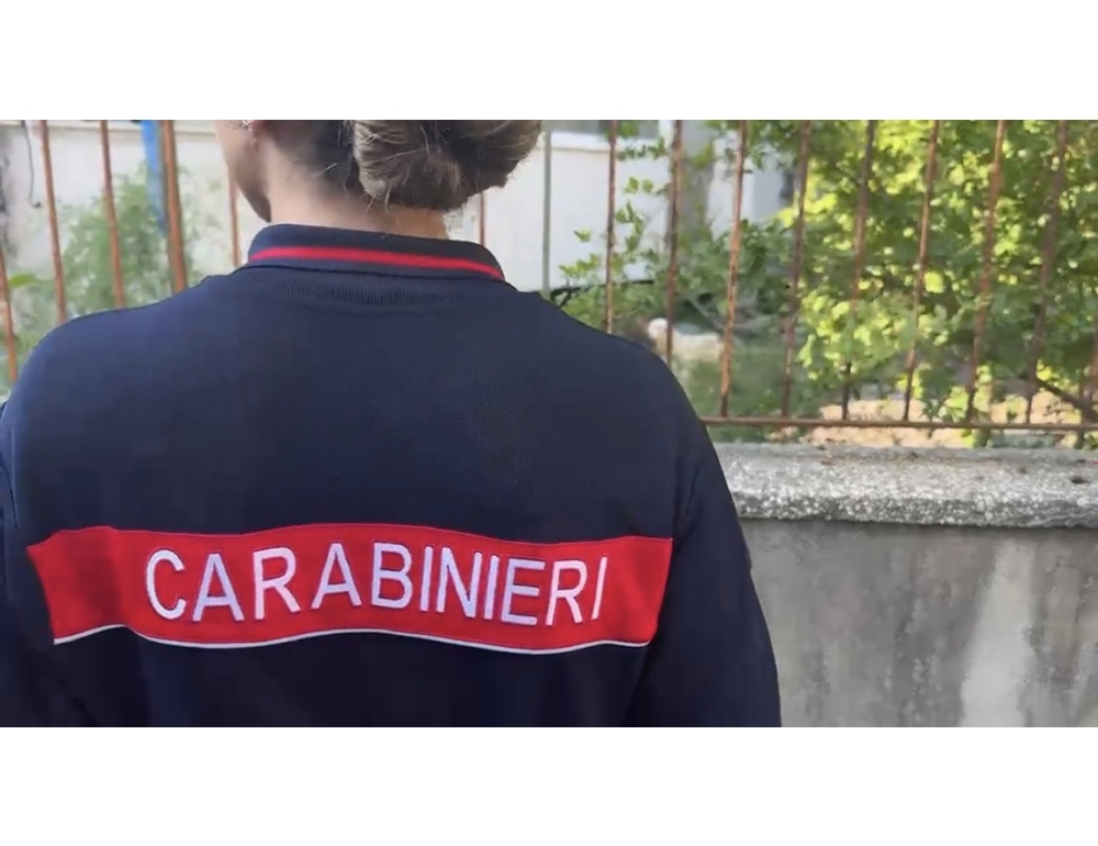 Campi Flegrei, carabinieri trovano un cane in un edificio inagibile