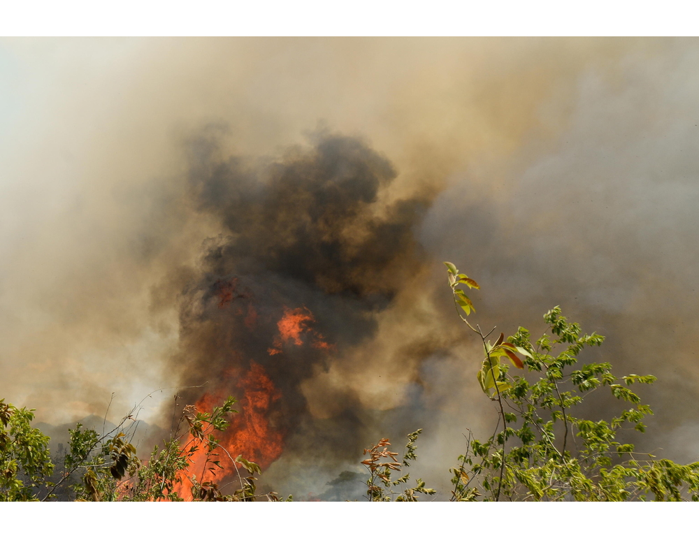 Colombia, oltre 50mila ettari devastati dai roghi, Tolima dichiara l’emergenza