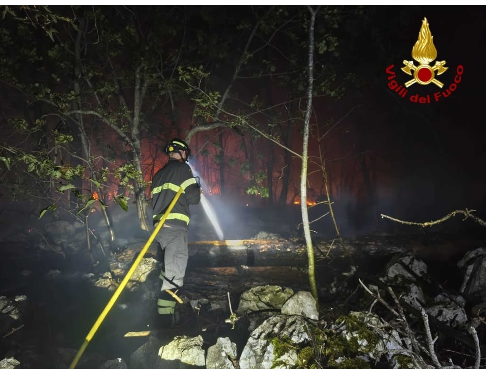 Dopo due giorni spento incendio sul Carso triestino
