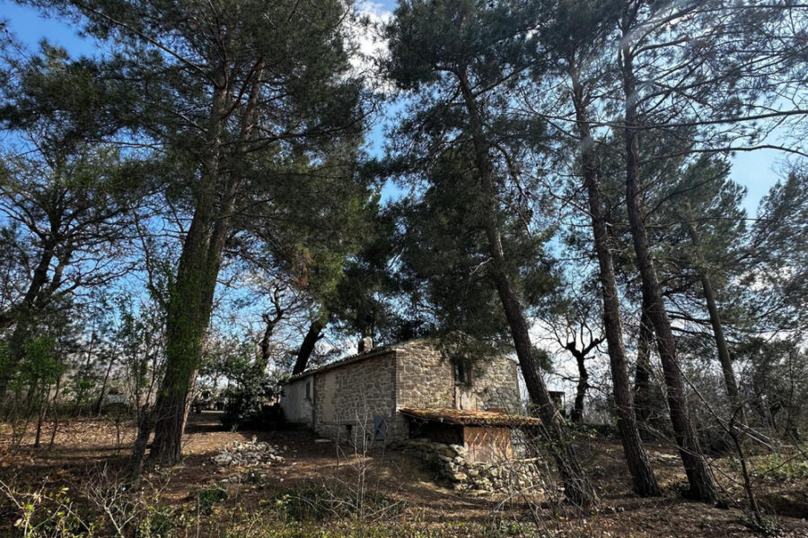Il 16 in Abruzzo. "Nucleo familiare importante in fase segnata da fragilità dei rapporti"