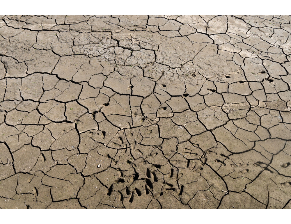 Guardian, ‘almeno 35.000 morti in Europa per ondate calore di questa estate’