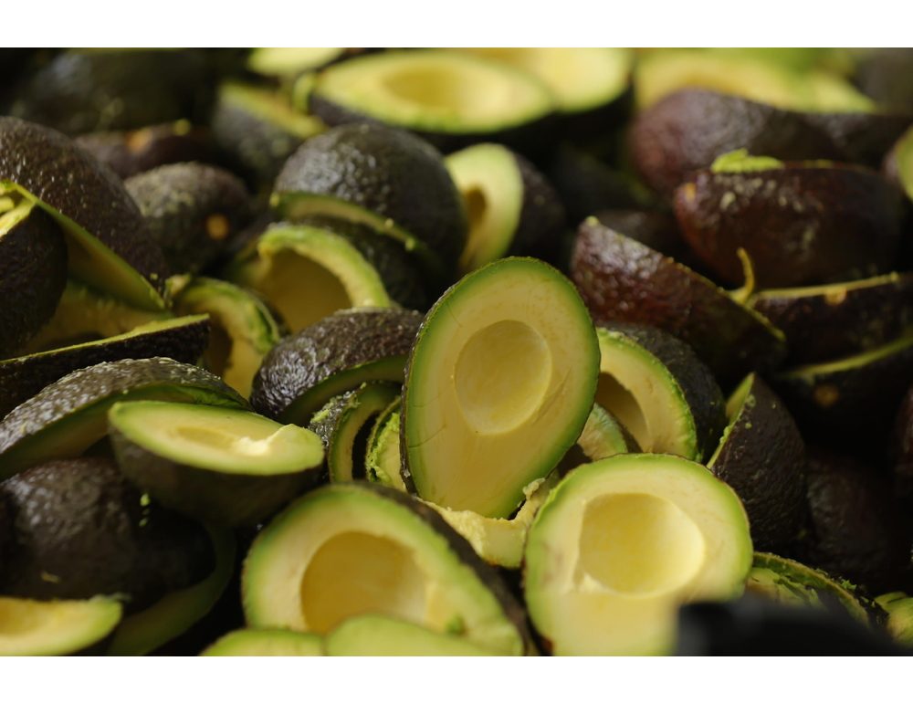 Il Messico annuncia misure per riprendere l’export di avocado negli Usa