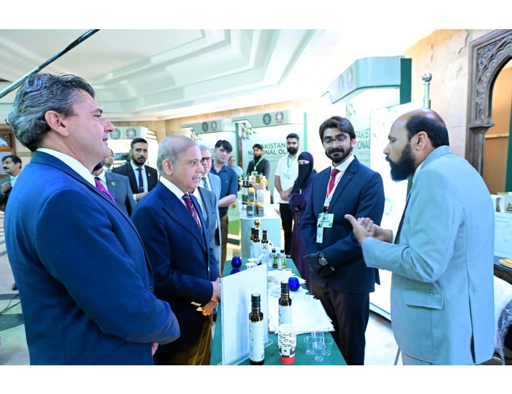 Il Pakistan lancia sua politica nazionale per la filiera olivicola