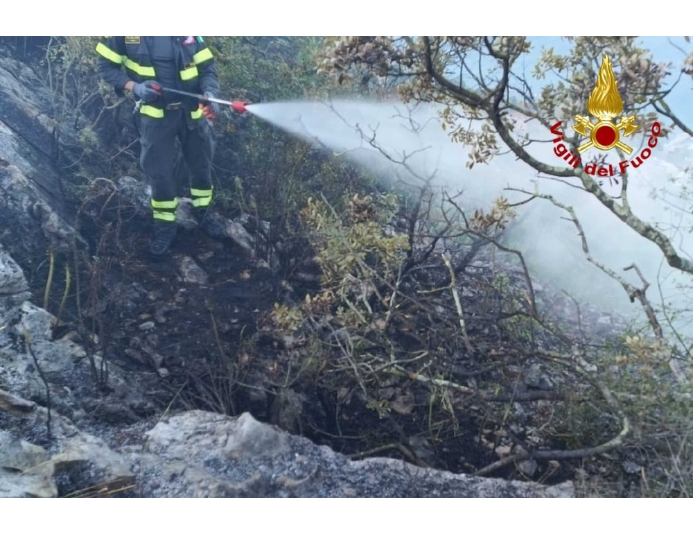 Incendi ancora attivi sul Carso tra Trieste e Gorizia