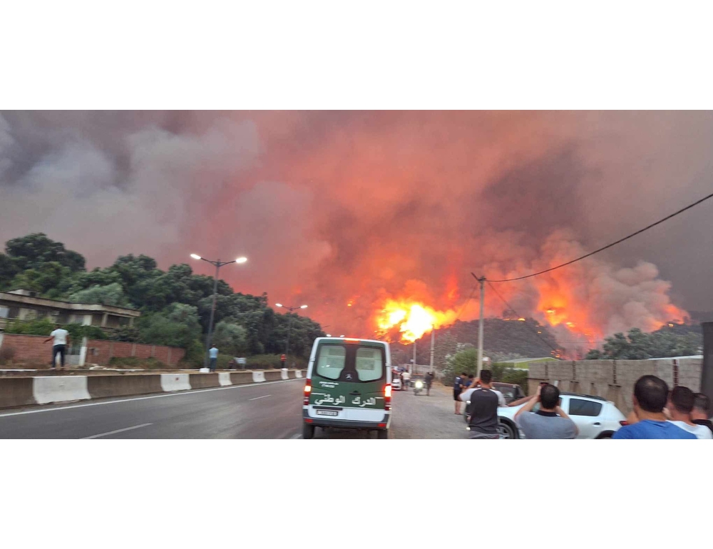 Incendi boschivi in Algeria, almeno 12 morti