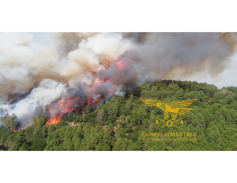 Incendio Ogliastra, pesanti danni anche nel paese di Elini