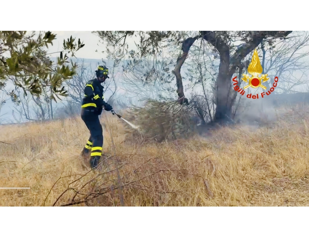 Incendio di bosco in Molise, evacuate case a S. Giacomo degli Schiavoni