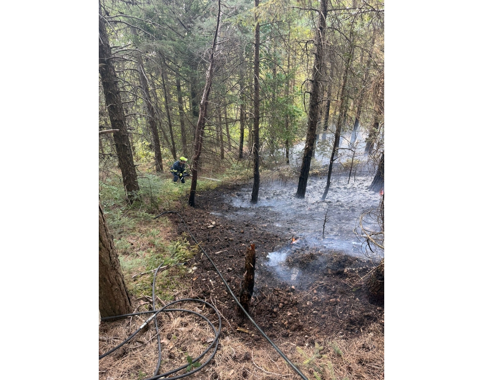Incendio nel Foggiano, fiamme in bosco e pineta spente dopo tre giorni