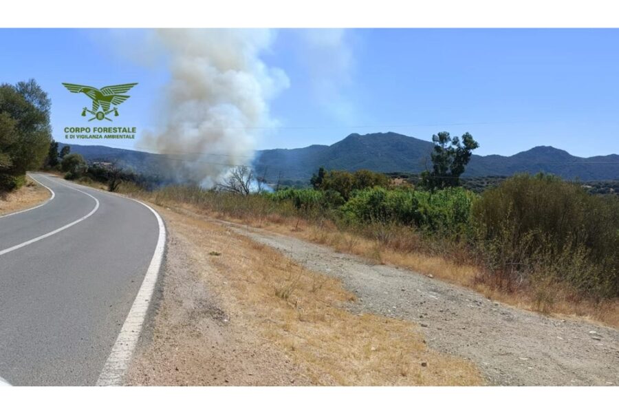 Le fiamme avevano scavalcato la Statale 131 Dcn all'altezza di Orune