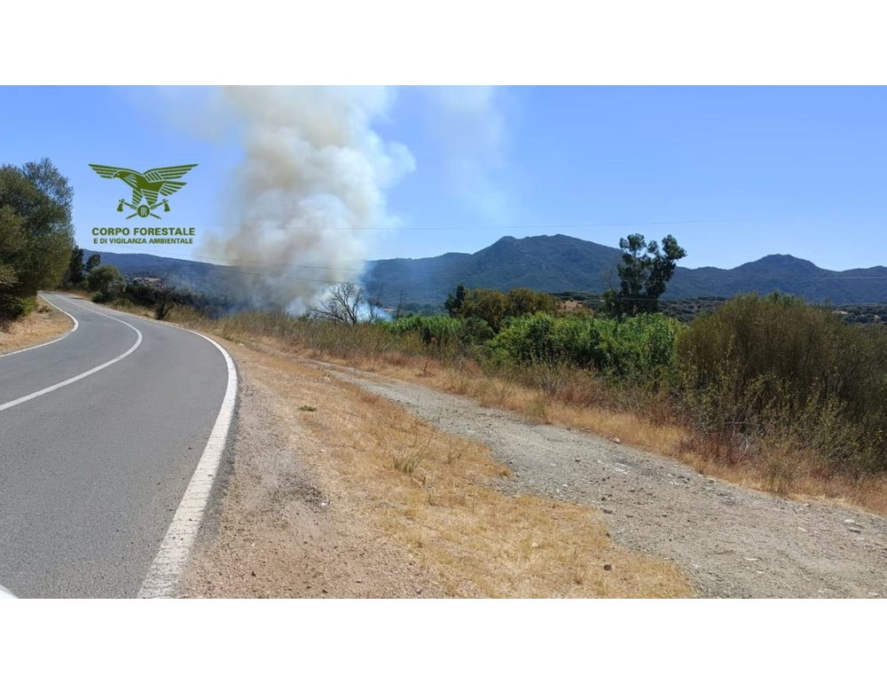 Incendio nel Nuorese e intervento di un Canadair, già avviate le bonifiche