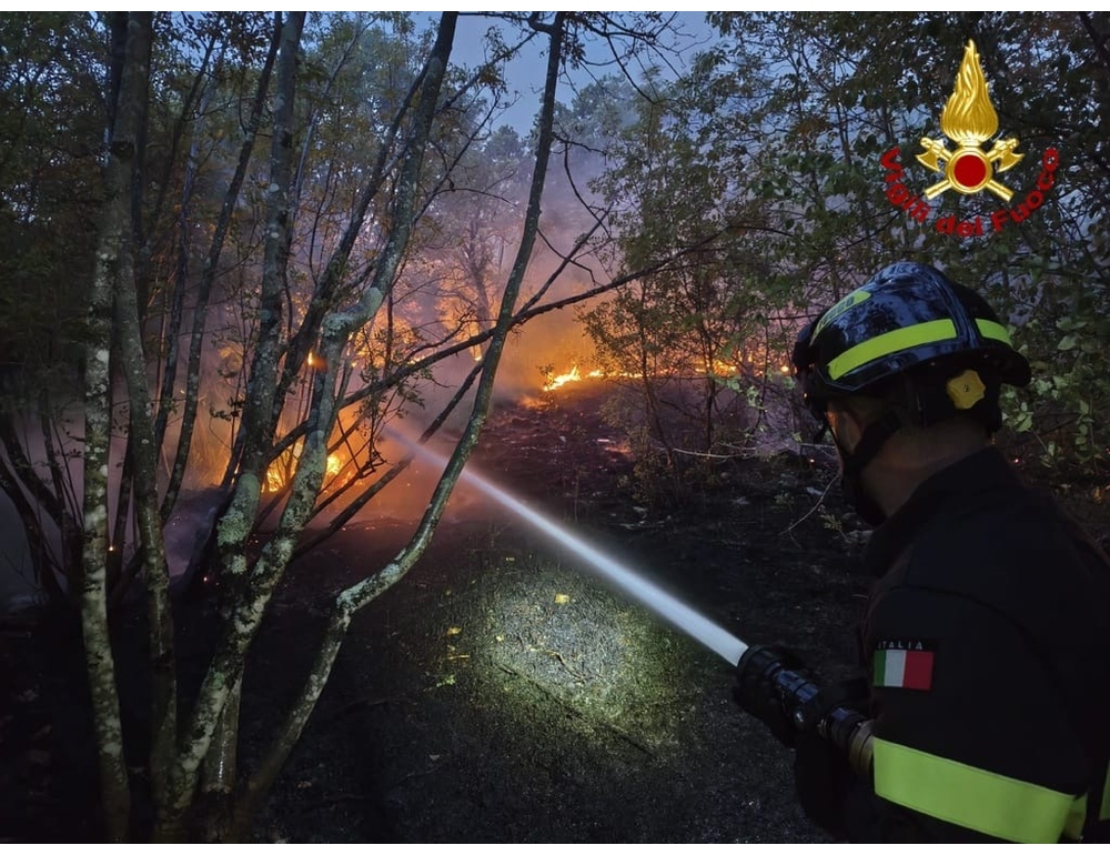 Incendio sul Carso triestino, pronti a evacuare case e strutture
