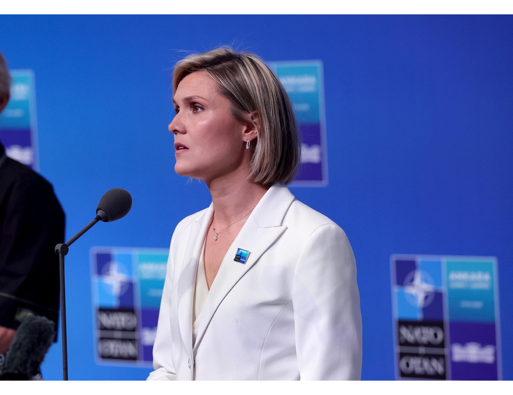 Islanda al voto sui negoziati Ue, chiusi i seggi