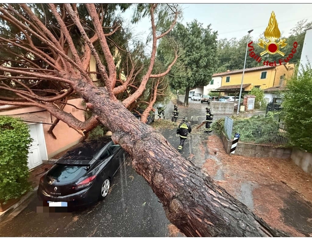 Nubifragi nella provincia di Firenze, alberi caduti e allagamenti