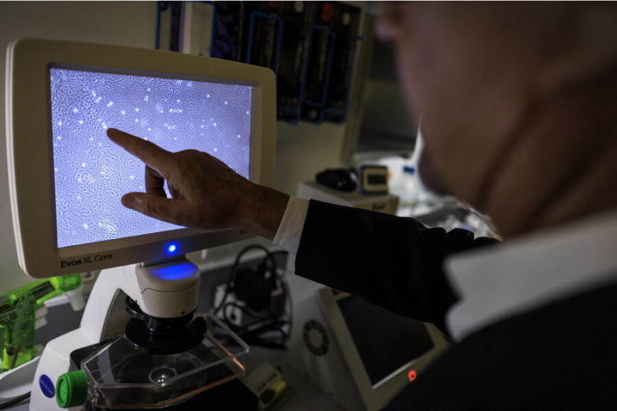 Studio pubblicato su Science si basa sulla rielaborazione del Dna che si trova in natura