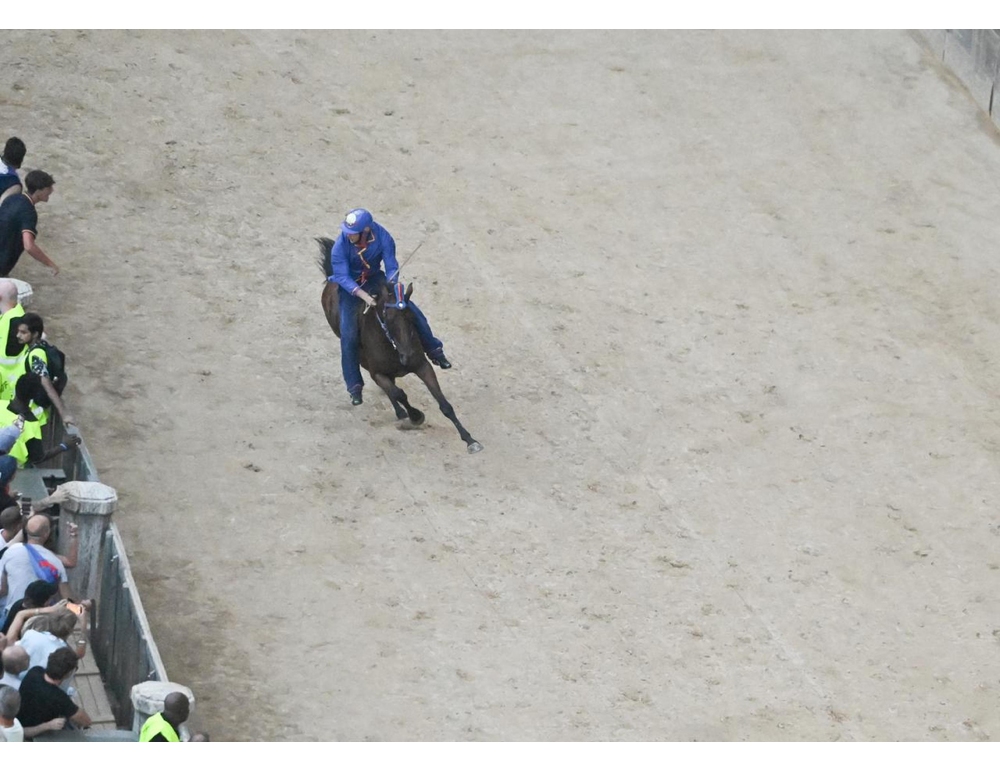 Palio Siena, vince la contrada del Nicchio