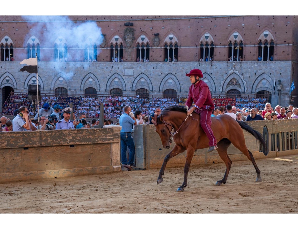 Palio di Siena, la Contrada della Giraffa vince la seconda prova