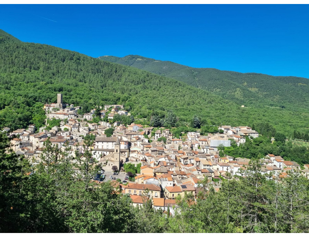 Punto da una vespa, sindacalista 38enne muore in valle Varaita