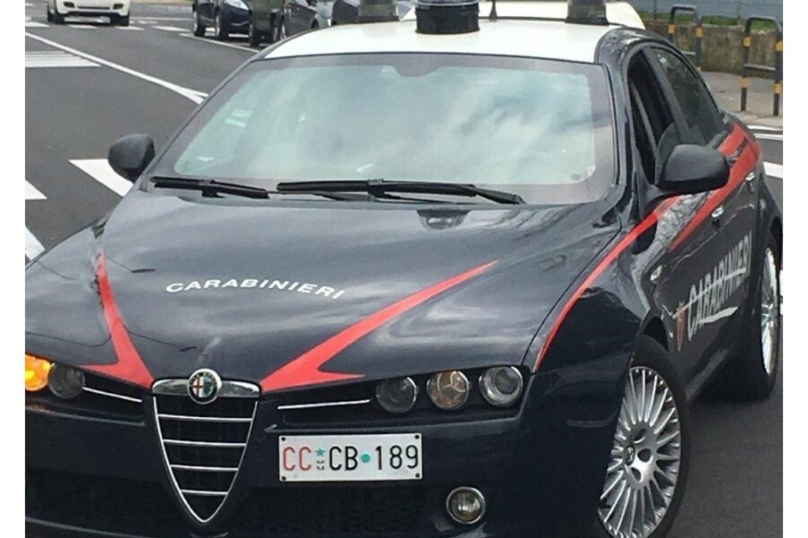 I due sono stati denunciati dai Carabinieri intervenuti sul posto a Rubiera nel Reggiano