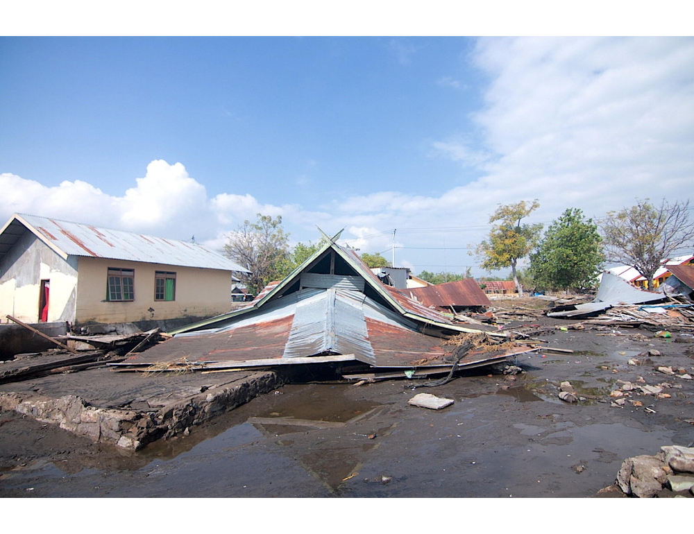 Tredici bolognesi bloccati nell’isola di Flores, ‘le scosse continuano’
