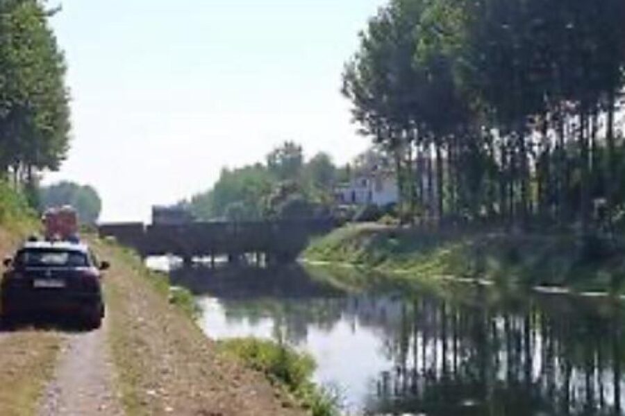 Alberi e rami caduti in strada in provincia