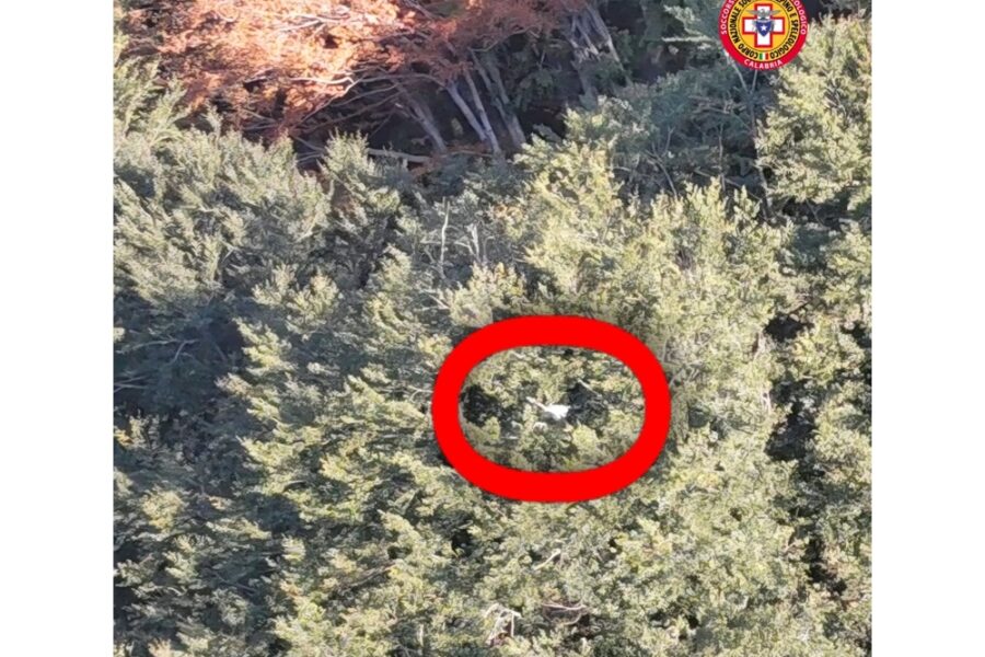 Testimone ha riferito di avere visto il velivolo volare a bassa quota vicino casa sua