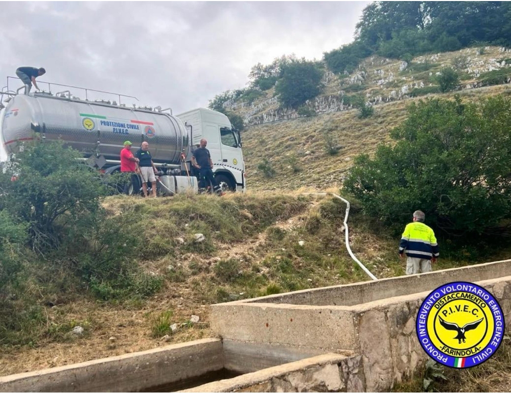 Vasche vuote all’alpeggio, Protezione civile salva animali al pascolo