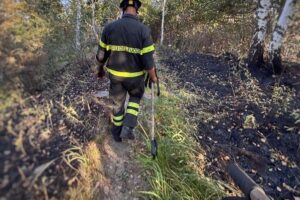 Monte Moregallo, controllo e bonifica da parte dei vigili del fuoco