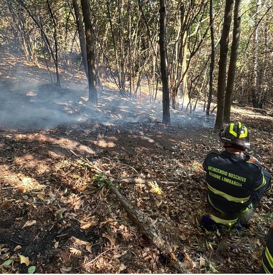 Incendio Moregallo spento, strada Lecco-Bellagio riaperta