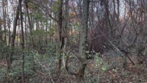 Tragico incidente in montagna sul Generoso, la vittima è un 66enne di Arcisate