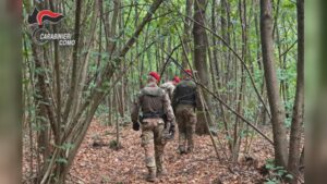 Via vai sospetto a Fino Mornasco, arrestati due spacciatori dopo le segnalazioni dei residenti