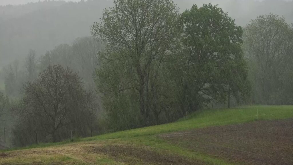 Agricoltura, dalla siccità agli allagamenti. Coldiretti conta i danni dopo l'estate più calda di sempre