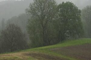 Agricoltura, dalla siccità agli allagamenti. Coldiretti conta i danni dopo l’estate più calda di sempre