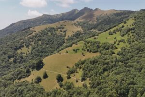 Valle Intelvi, donna dispersa da ieri nei boschi. Ricerche in corso
