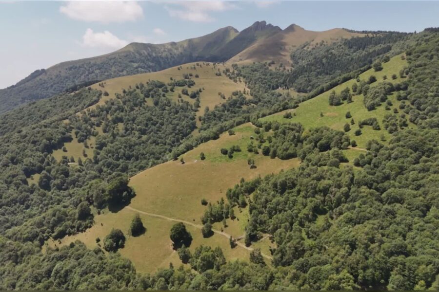 16032 Valle Intelvi donna dispersa da ieri nei boschi. Ricerche in corso 1789379194