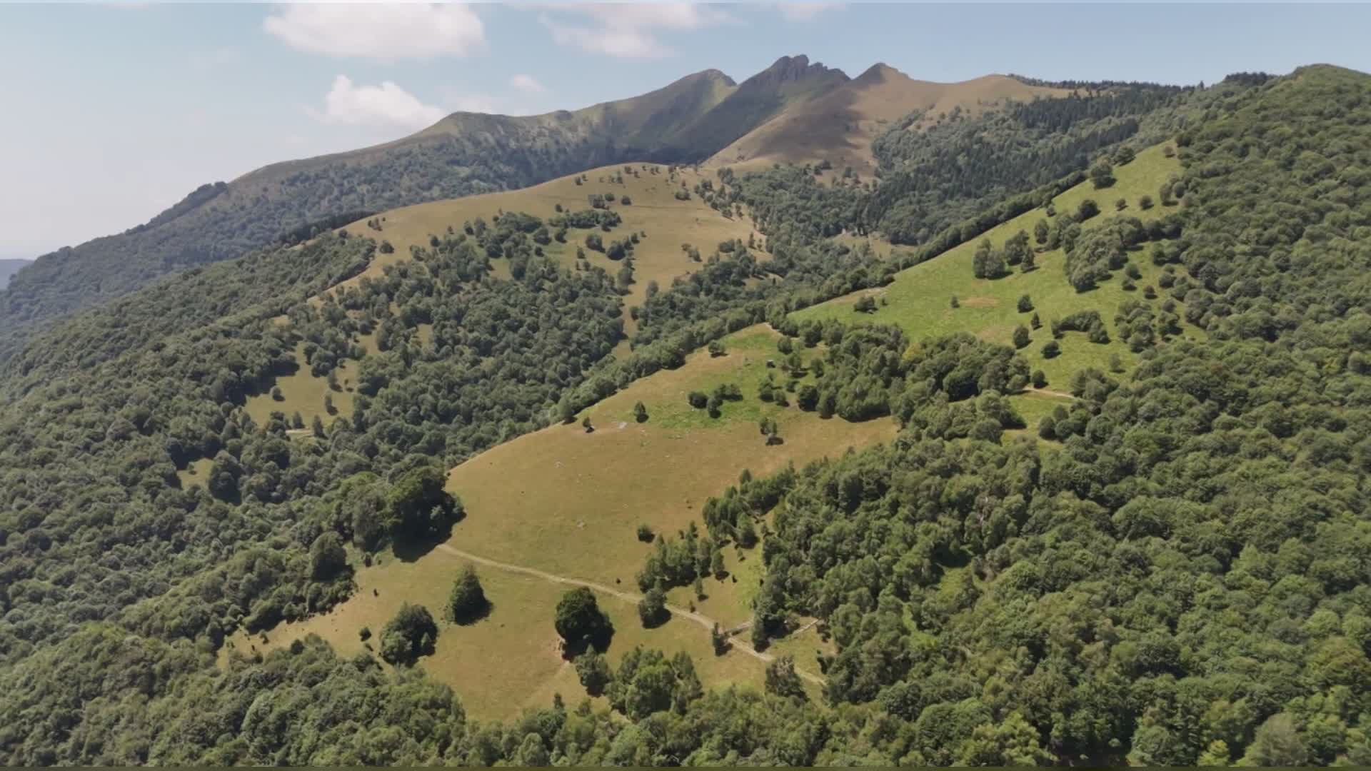 Valle Intelvi, donna dispersa da ieri nei boschi. Ricerche in corso