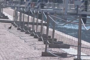 Parapetti, c’è l’idea ma i tempi restano incerti. Richiameranno quelli di viale Geno