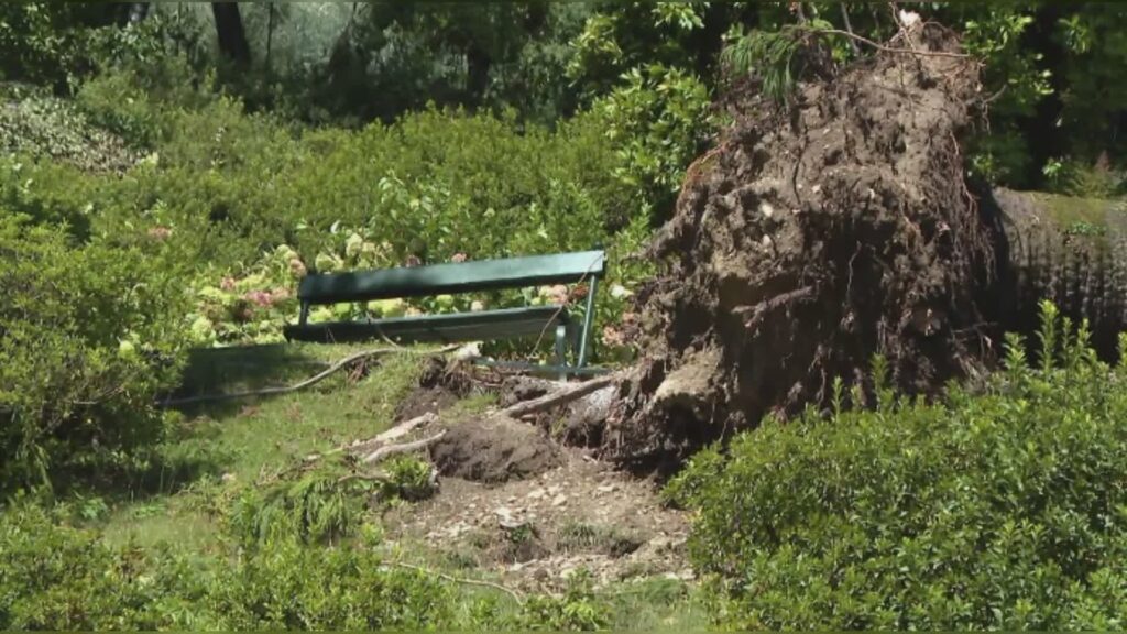 Maltempo, da Regione via libera al sostegno dei territori colpiti. Temporali nella notte a Como e provincia