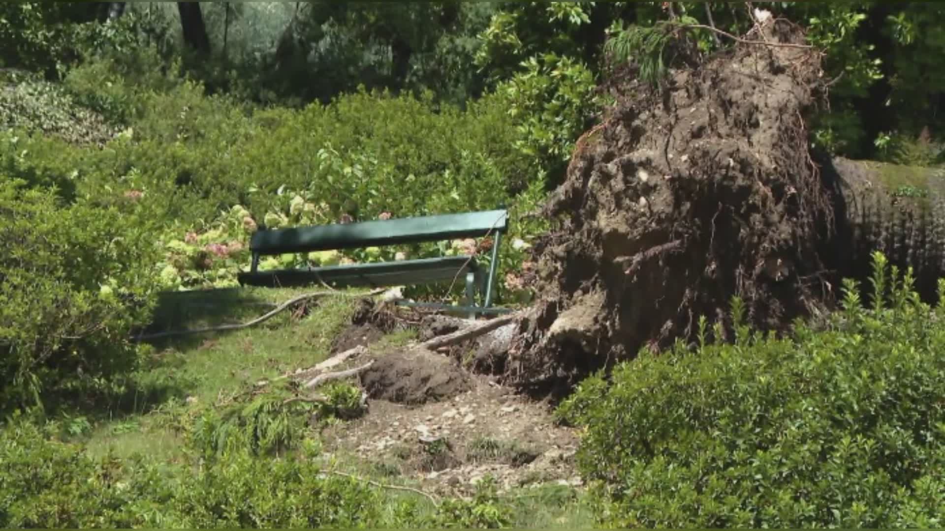 Maltempo, da Regione via libera al sostegno dei territori colpiti. Temporali nella notte a Como e provincia
