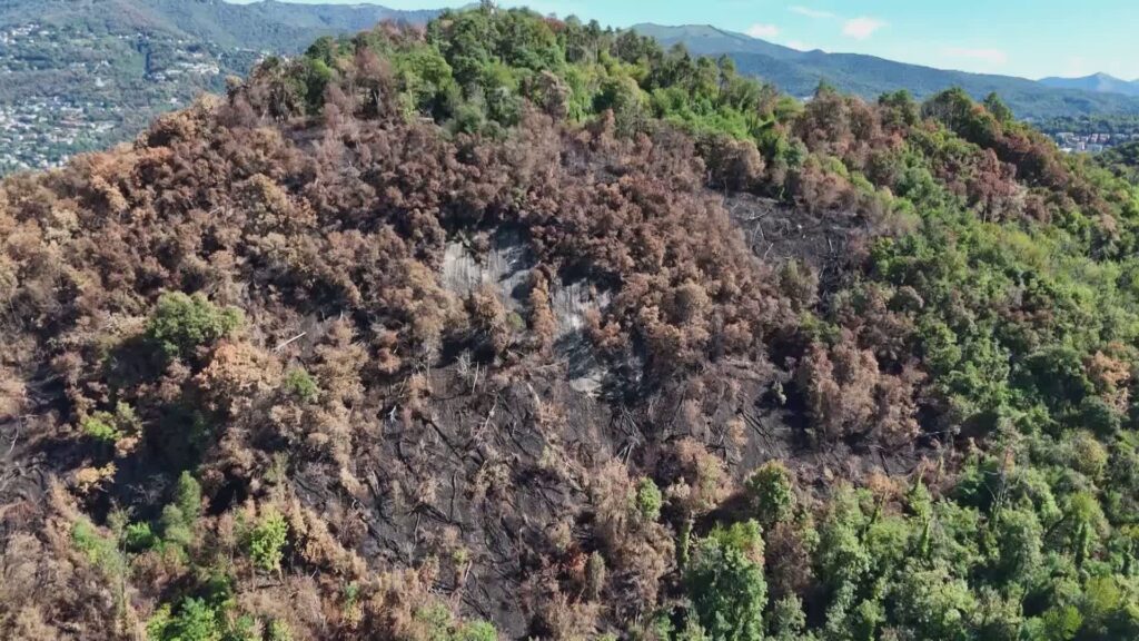 Incendio sul Monte Goi, da Regione 440mila euro. Previsto un tavolo di lavoro permanente