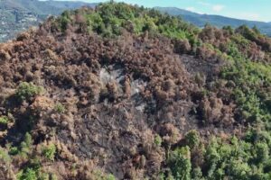Incendio sul Monte Goi, da Regione 440mila euro. Previsto un tavolo di lavoro permanente