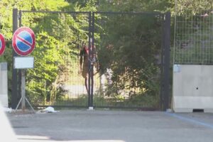 Area Ticosa, le segnalazioni si moltiplicano: viavai continuo di gente tra rifiuti e degrado