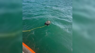 Inghiottito dal lago a San Siro, ricerche in profondità con robot e sonar