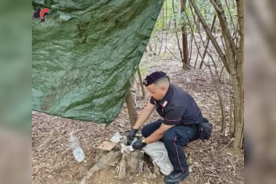 16661 Carbonate e Locate Varesino spacciatori in fuga dai bivacchi. Stavano preparando il pranzo 1790331515