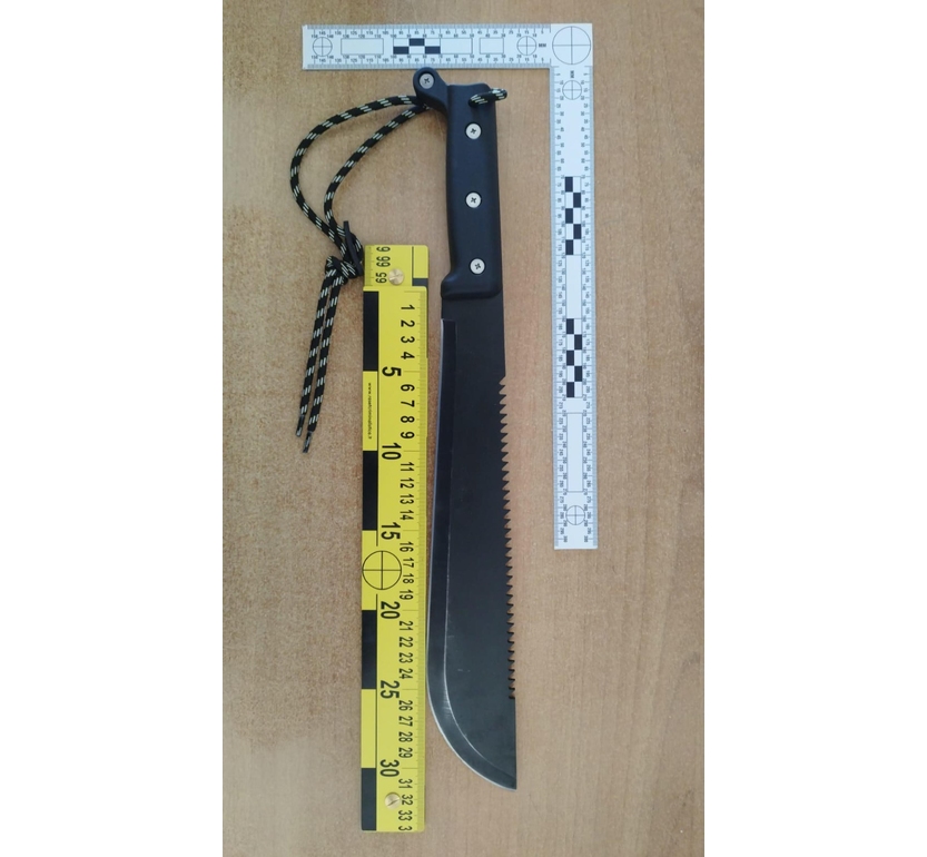Aggressione con machete nel Cremonese, due 16enni feriti e due arresti