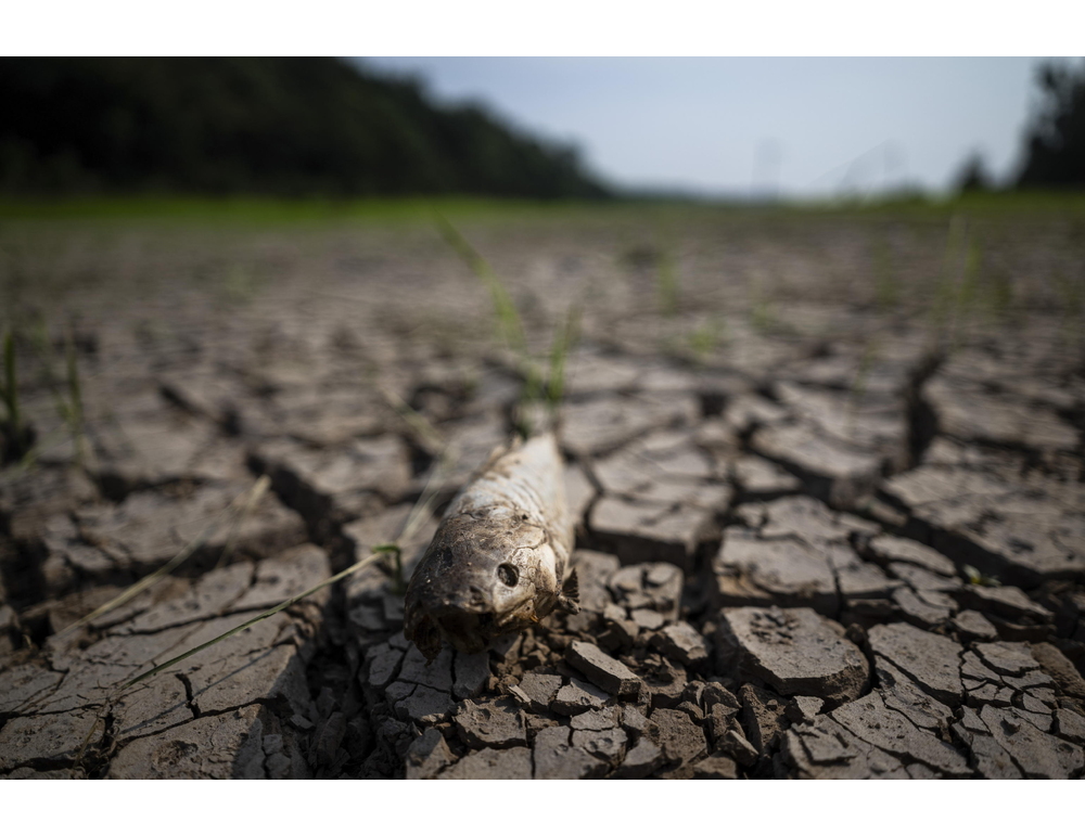 Brasile, El Nino divide il Paese tra piogge record e forte siccità