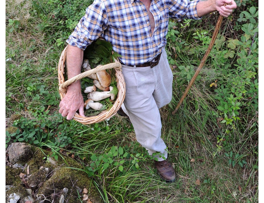 Cade in un dirupo mentre cerca funghi, morto un 85enne nel Vco